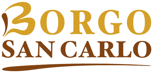 Logo Borgo San Carlo